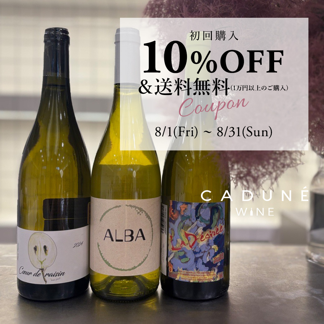 【新品】アルページュストーリー　定価19800円　ノーカラージレ　ブラック 特集一覧 │【公式通販】Arpege story（アルページュストーリー）